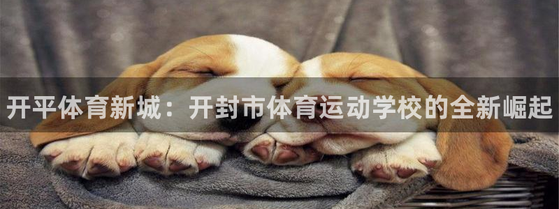 678体育官网下载