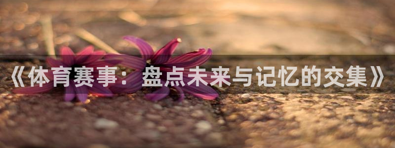 678体育官网地址