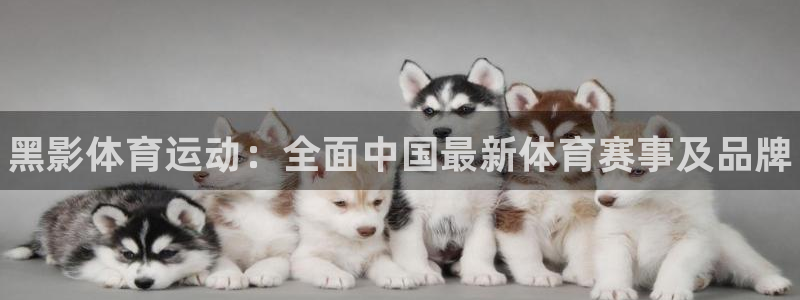 678体育app