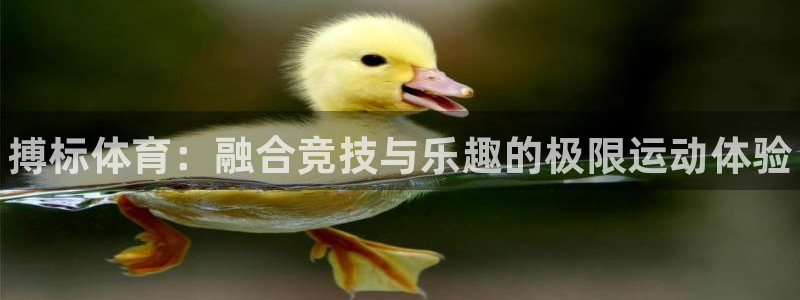 678体育知识