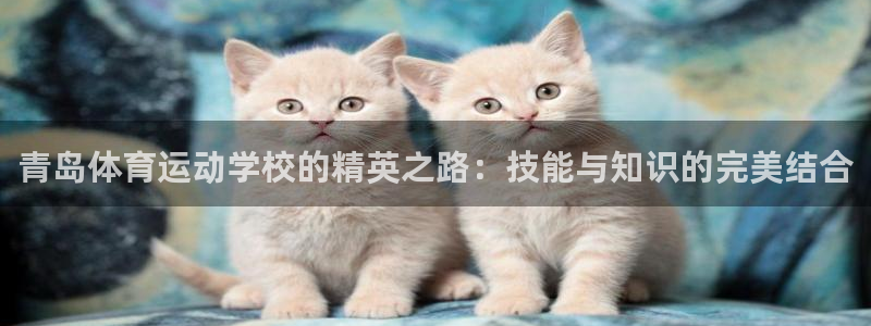 678体育知识