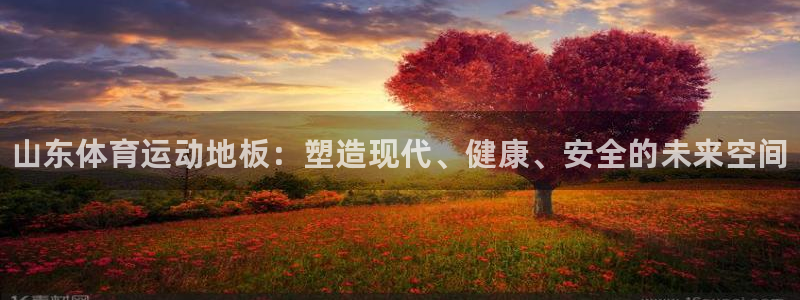 678体育