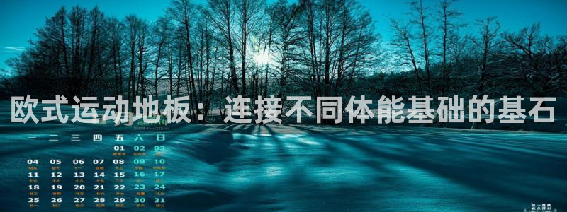 678体育官网地址