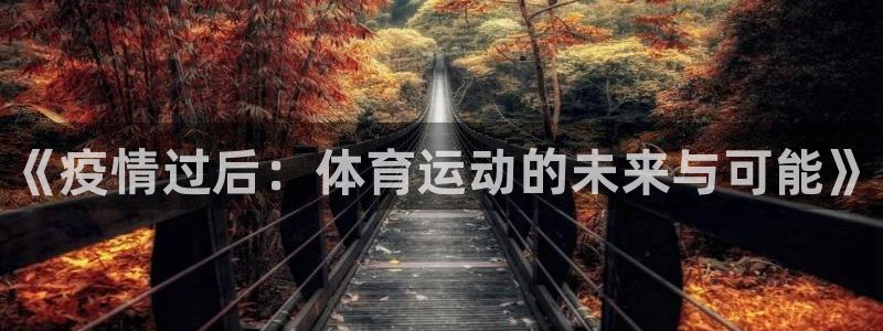 678体育app