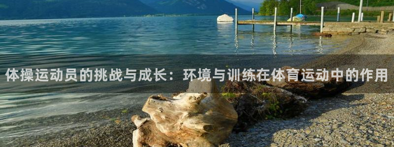 678体育官网下载