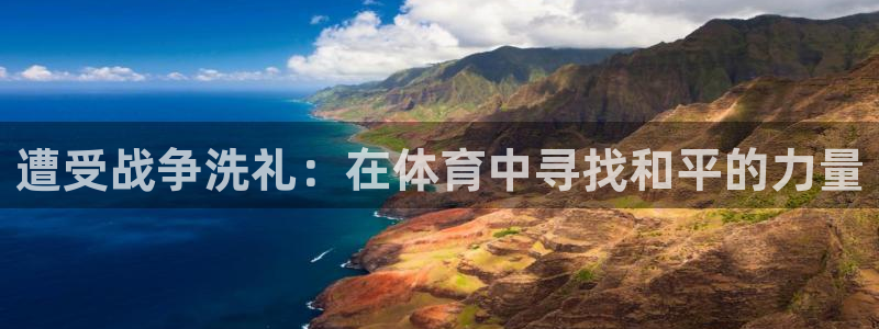 678体育官网