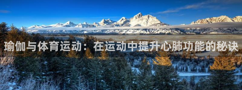 678体育