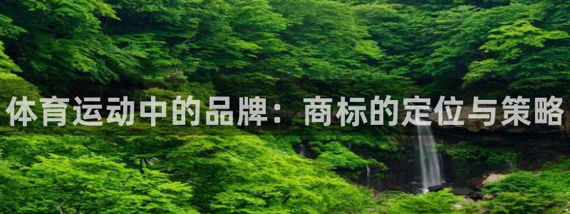 678体育官网