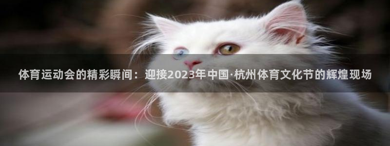 678体育知识